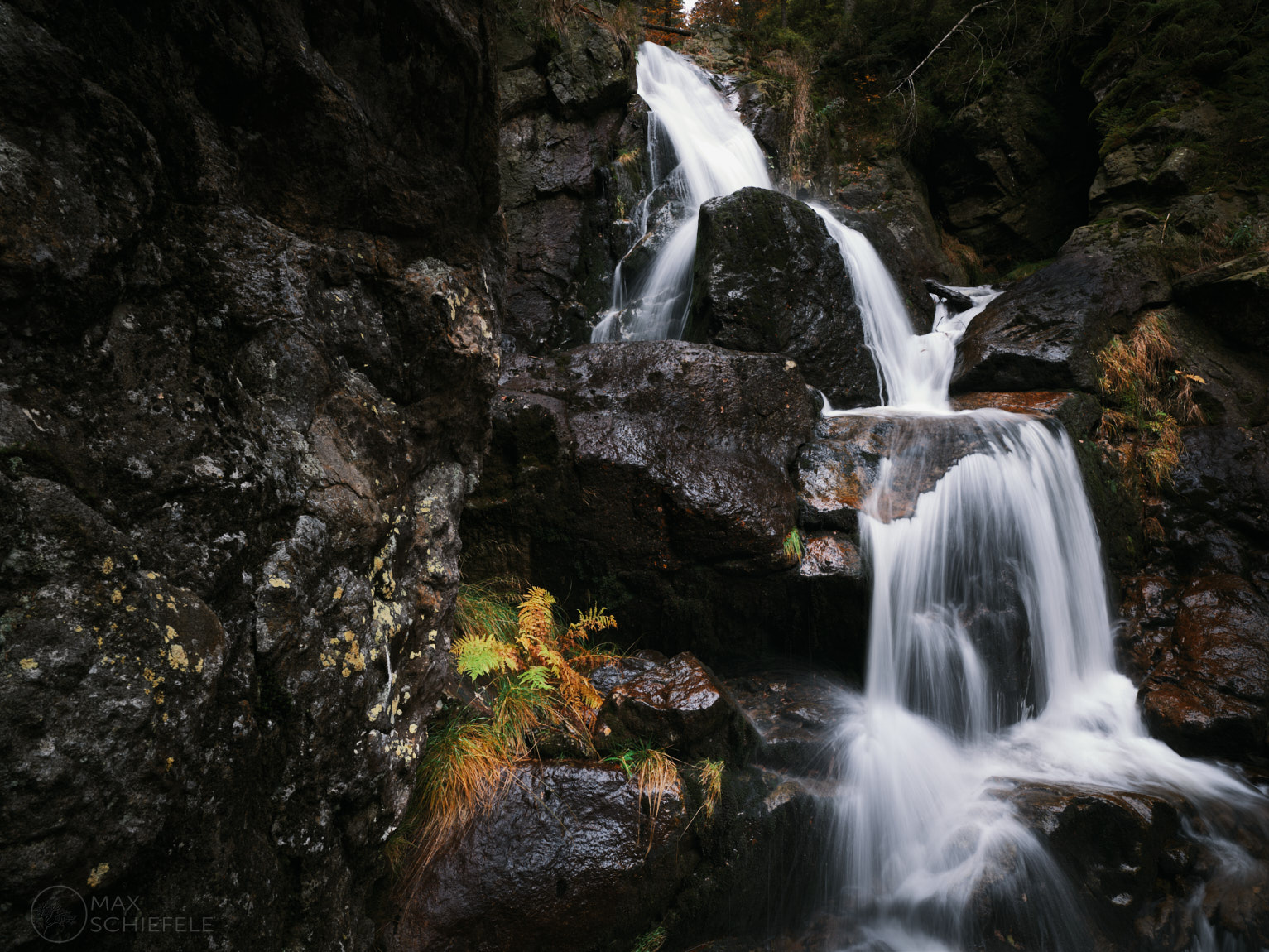 Rieslochfälle